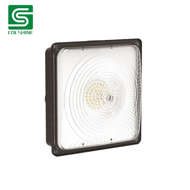 led canopy light