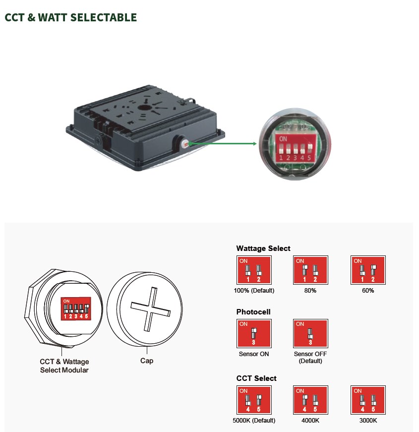 CCT