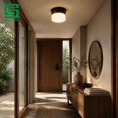 Sauna LED Light