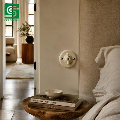 Porcelain Electrical Switch